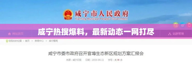 金石為開 第3頁
