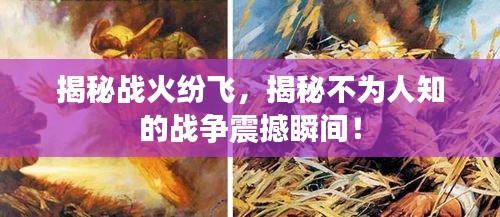 揭秘戰(zhàn)火紛飛，揭秘不為人知的戰(zhàn)爭(zhēng)震撼瞬間！