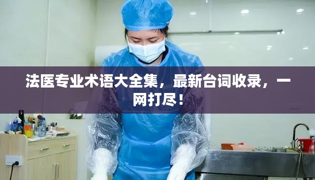 法醫(yī)專業(yè)術(shù)語大全集，最新臺詞收錄，一網(wǎng)打盡！