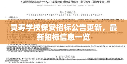 盡心盡力 第3頁