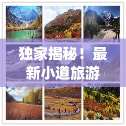 獨(dú)家揭秘！最新小道旅游攻略大全，帶你暢游未知美景