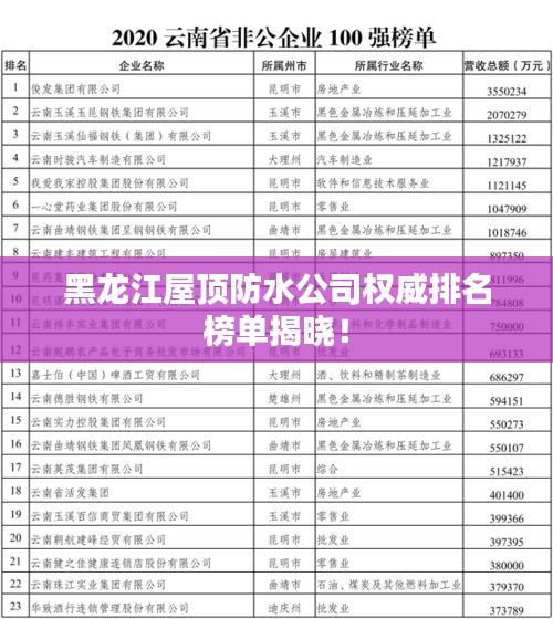 黑龍江屋頂防水公司權(quán)威排名榜單揭曉！