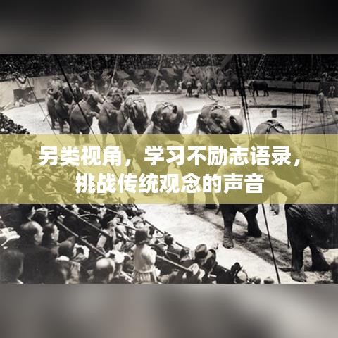 另類視角，學習不勵志語錄，挑戰(zhàn)傳統觀念的聲音