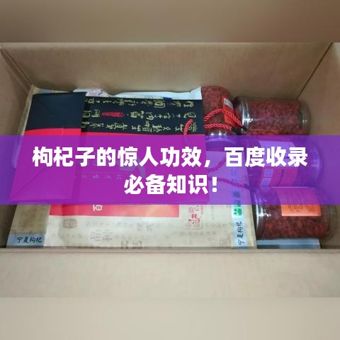 枸杞子的驚人功效，百度收錄必備知識！