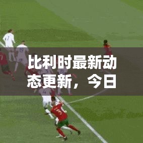 比利時最新動態(tài)更新，今日狀況揭秘！