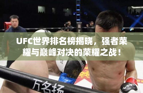 UFC世界排名榜揭曉，強者榮耀與巔峰對決的榮耀之戰(zhàn)！