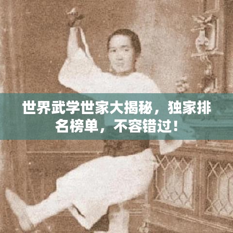 世界武學(xué)世家大揭秘，獨家排名榜單，不容錯過！