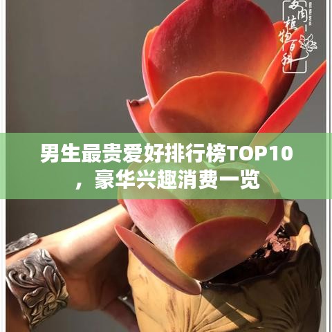 男生最貴愛好排行榜TOP10，豪華興趣消費(fèi)一覽
