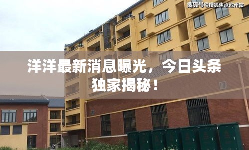 洋洋最新消息曝光，今日頭條獨(dú)家揭秘！