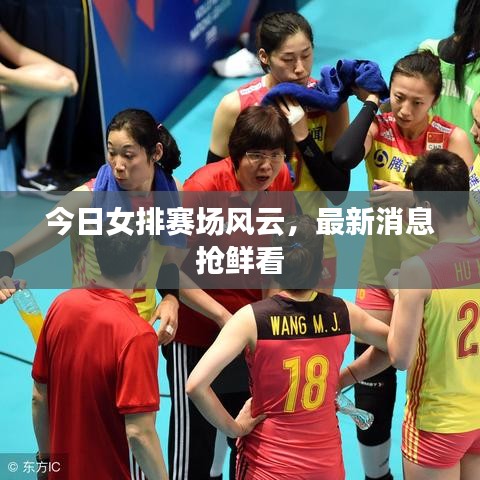 今日女排賽場(chǎng)風(fēng)云，最新消息搶鮮看