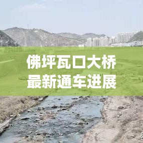 佛坪瓦口大橋最新通車進展，交通新里程碑誕生！