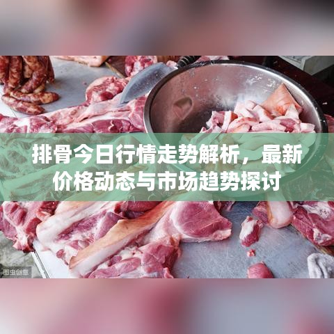 排骨今日行情走勢解析，最新價格動態(tài)與市場趨勢探討