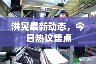 洪晃最新動態(tài)，今日熱議焦點