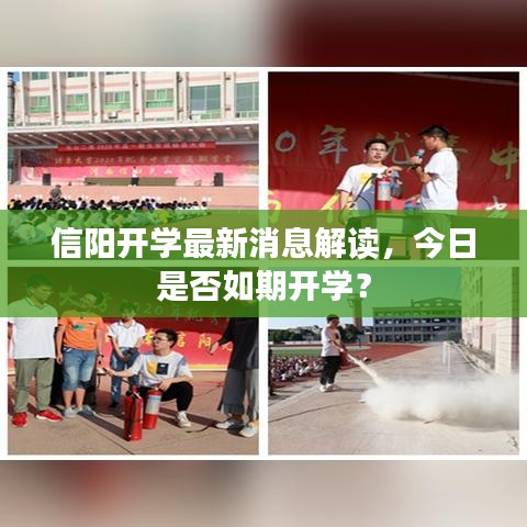 信陽開學最新消息解讀，今日是否如期開學？