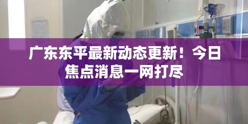 廣東東平最新動態(tài)更新！今日焦點消息一網(wǎng)打盡