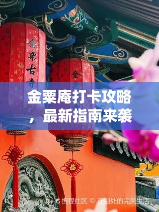 金粟庵打卡攻略，最新指南來(lái)襲！
