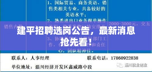 建平招聘選崗公告，最新消息搶先看！