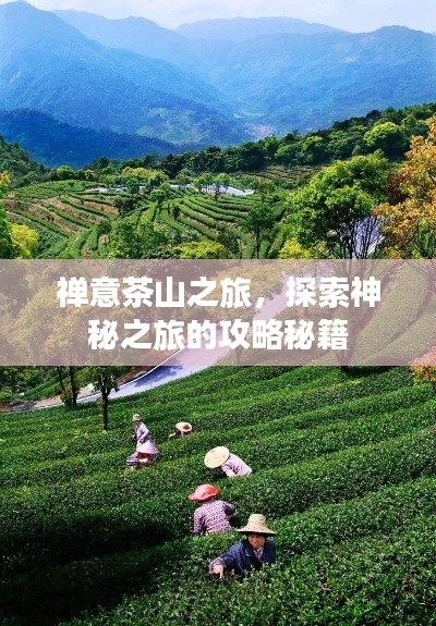 禪意茶山之旅，探索神秘之旅的攻略秘籍