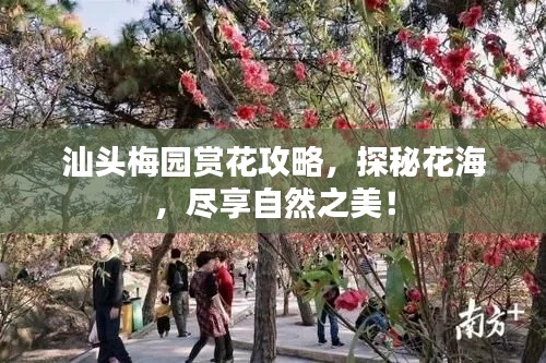汕頭梅園賞花攻略，探秘花海，盡享自然之美！