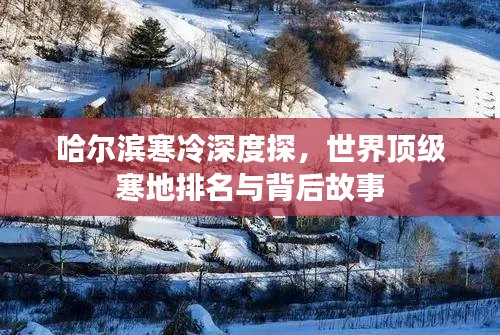 哈爾濱寒冷深度探，世界頂級(jí)寒地排名與背后故事