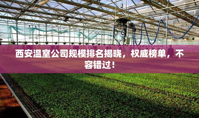 西安溫室公司規(guī)模排名揭曉，權威榜單，不容錯過！