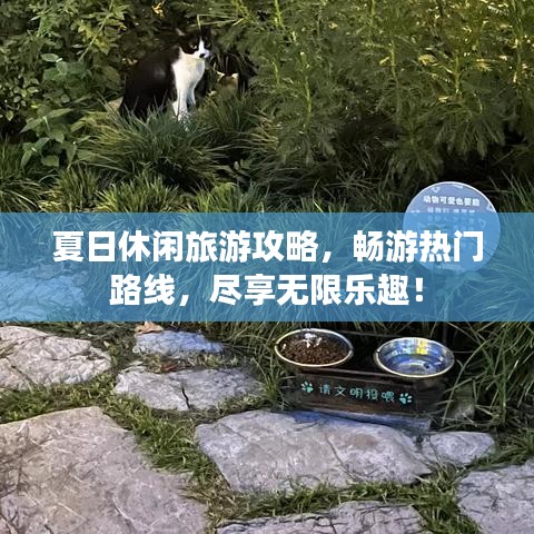 夏日休閑旅游攻略，暢游熱門路線，盡享無限樂趣！