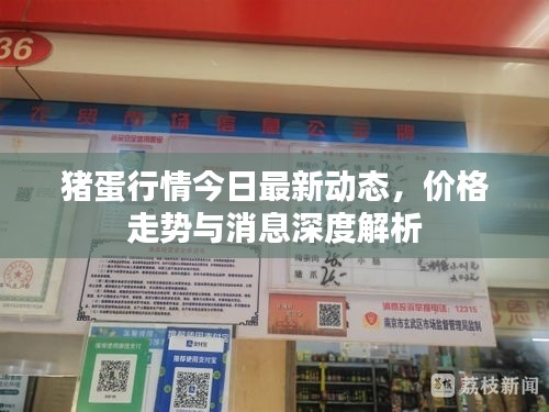 豬蛋行情今日最新動(dòng)態(tài)，價(jià)格走勢與消息深度解析