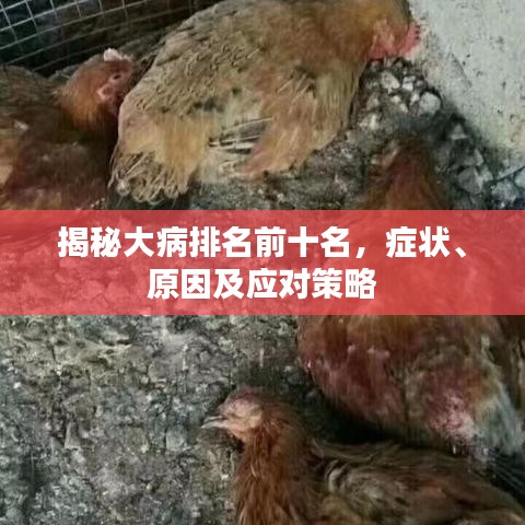 揭秘大病排名前十名，癥狀、原因及應(yīng)對策略