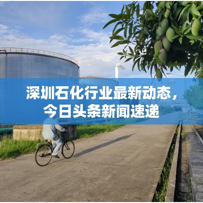 深圳石化行業(yè)最新動態(tài)，今日頭條新聞速遞