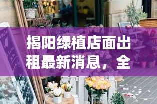 揭陽綠植店面出租最新消息，全面更新，一睹即知