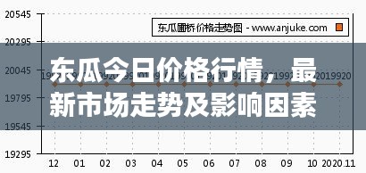 東瓜今日價格行情，最新市場走勢及影響因素深度解析