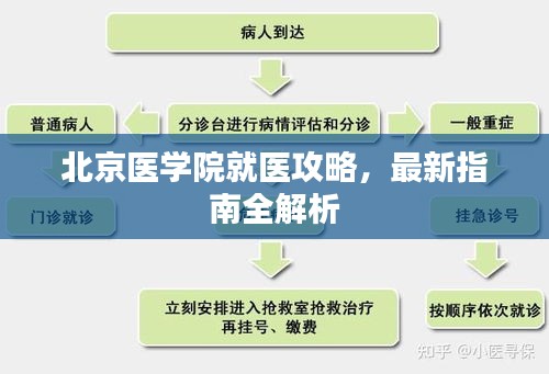 北京醫(yī)學(xué)院就醫(yī)攻略，最新指南全解析