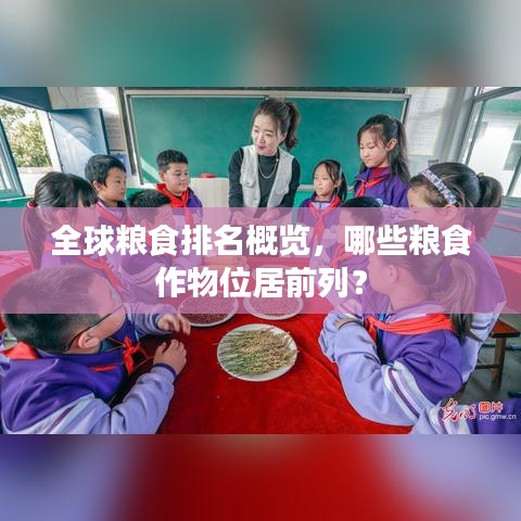 全球糧食排名概覽，哪些糧食作物位居前列？