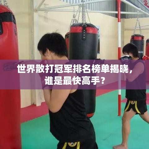 世界散打冠軍排名榜單揭曉，誰是最快高手？