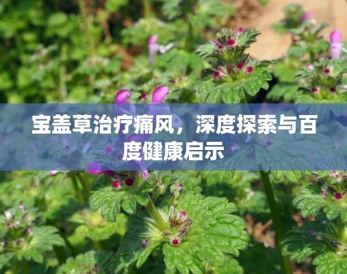 寶蓋草治療痛風(fēng)，深度探索與百度健康啟示