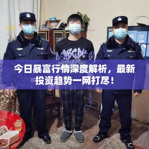 今日暴富行情深度解析，最新投資趨勢一網(wǎng)打盡！