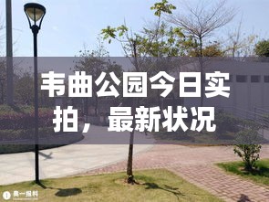 韋曲公園今日實(shí)拍，最新狀況全解析