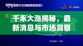 千禾大漲揭秘，最新消息與市場(chǎng)洞察深度解讀