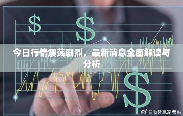 今日行情震蕩劇烈，最新消息全面解讀與分析