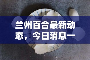 蘭州百合最新動(dòng)態(tài)，今日消息一網(wǎng)打盡！