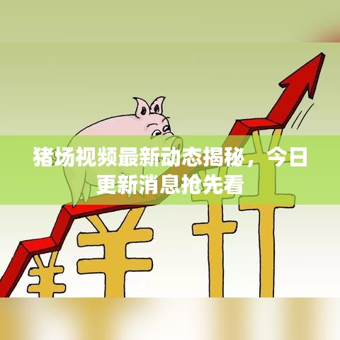 豬場(chǎng)視頻最新動(dòng)態(tài)揭秘，今日更新消息搶先看
