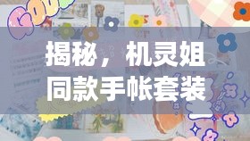 揭秘，機靈姐同款手帳套裝最新版獨家爆料