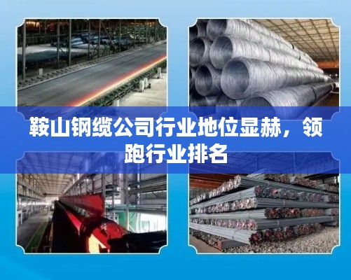 鞍山鋼纜公司行業(yè)地位顯赫，領跑行業(yè)排名