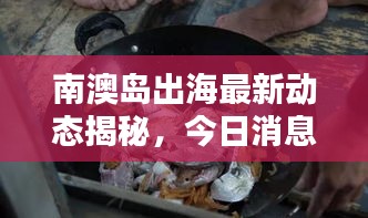 南澳島出海最新動(dòng)態(tài)揭秘，今日消息一網(wǎng)打盡！