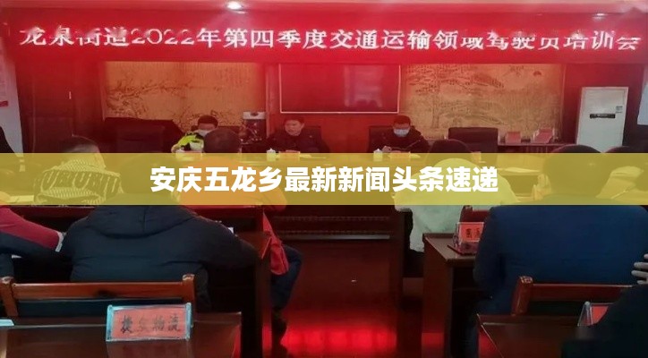安慶五龍鄉(xiāng)最新新聞頭條速遞