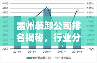 雷州裝卸公司排名揭秘，行業(yè)分析與深度解讀