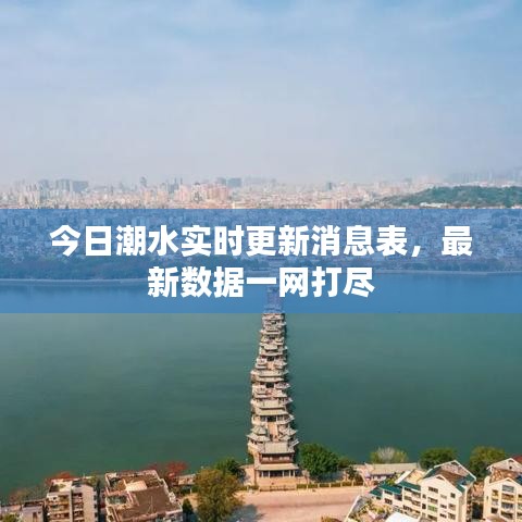 今日潮水實時更新消息表，最新數(shù)據(jù)一網(wǎng)打盡