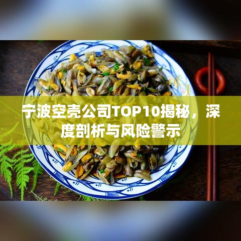寧波空殼公司TOP10揭秘，深度剖析與風(fēng)險(xiǎn)警示