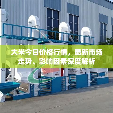 大米今日價(jià)格行情，最新市場走勢、影響因素深度解析