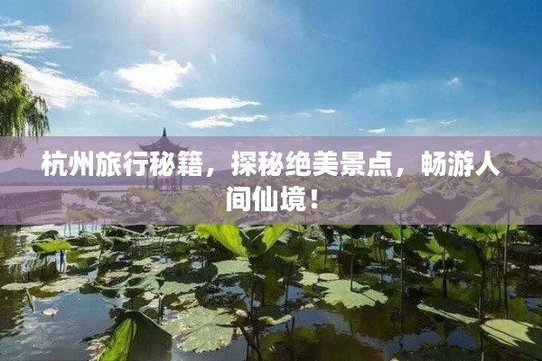 千嬌百媚 第3頁(yè)